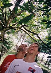 51 loro camino Tortuguero.jpg